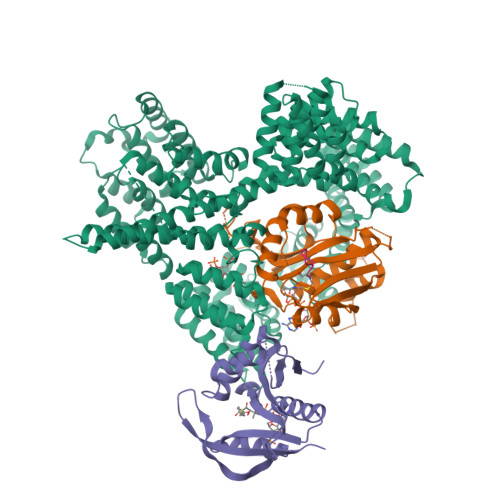 PDB 4XNH