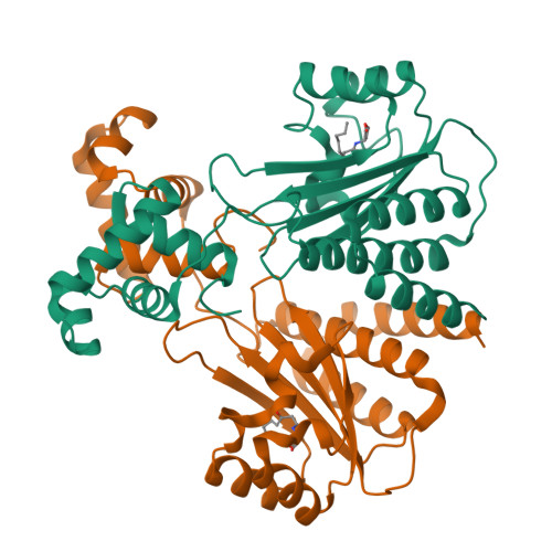 RCSB PDB - 4Y17: SdiA in complex with 3-oxo-C8-homoserine lactone