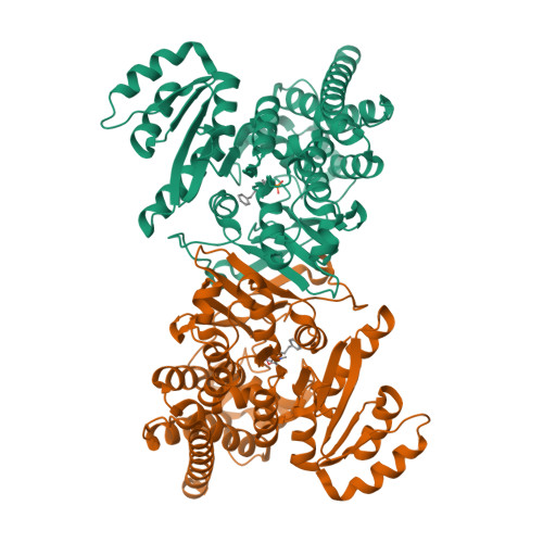 1-deoxy-D-xylulose 5-phosphate reductoisomerase, apicoplastic structure