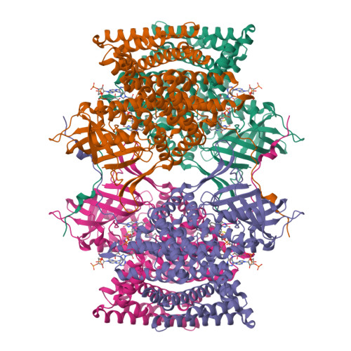 RCSB PDB - 4Y9J: Crystal Structure of Caenorhabditis elegans ACDH-11 in ...