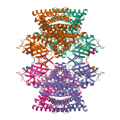 RCSB PDB - 4Y9L: Crystal Structure of Caenorhabditis elegans ACDH-11