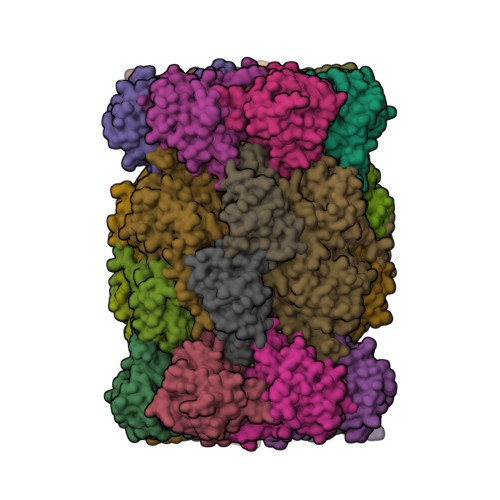 RCSB PDB - 4YA1: Yeast 20S proteasome beta2-H116N mutant