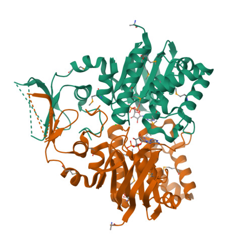 RCSB PDB - 4YER: Crystal structure of an ABC transporter ATP-binding ...