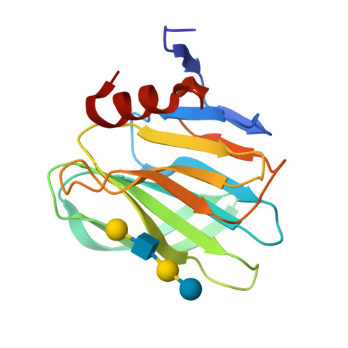 RCSB PDB - 4YG0: Structural basis of glycan recognition in neonate ...