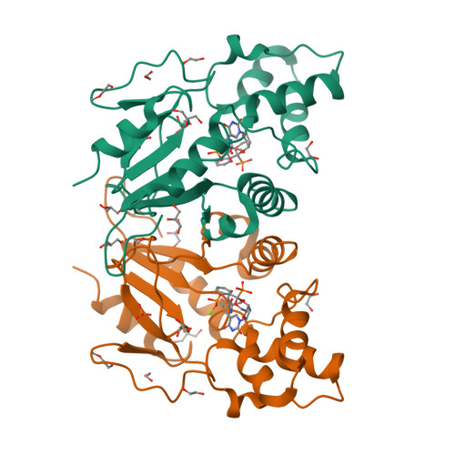 RCSB PDB - 4YIK: Crystal structure of human cytosolic 5'(3 ...