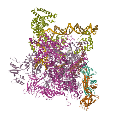 PDB:4YLN