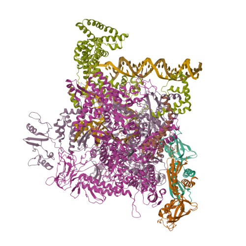PDB:4YLP