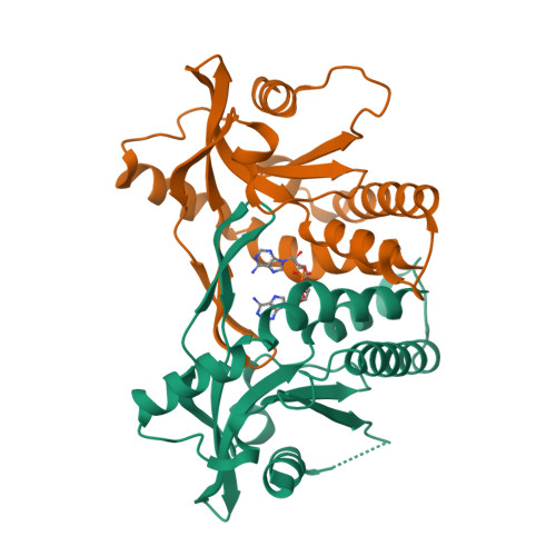 アート Nativity of The Lord Gold Print Orthodox Icon with Aged Gold