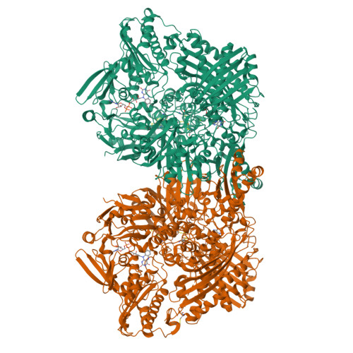 RCSB PDB - 4YTZ: Rat xanthine oxidoreductase, C-terminal deletion