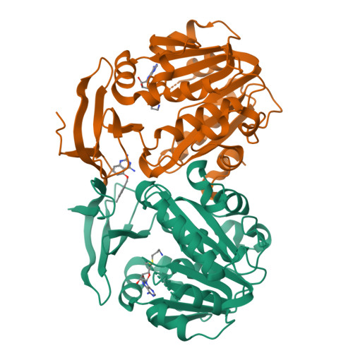 RCSB PDB - 4YUZ: Crystal structure of Trypanosoma cruzi spermidine ...