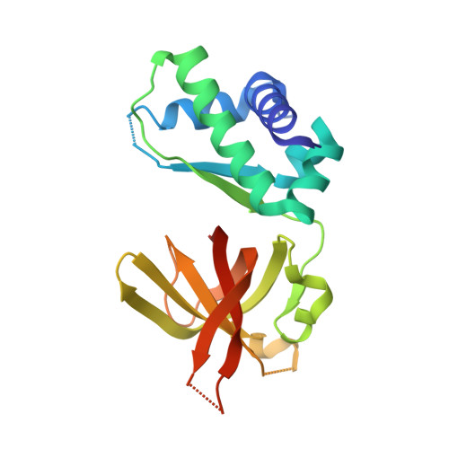 RCSB PDB - 4YWK: Pyrococcus furiosus MCM N-terminal domain with Zinc ...