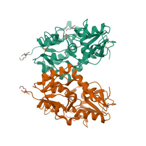 RCSB PDB - 4Z0I: Crystal structure of a tetramer of GluA2 ligand 