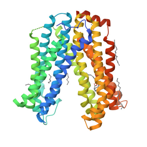 RCSB PDB - 4Z3N: Crystal structure of the MATE transporter ClbM
