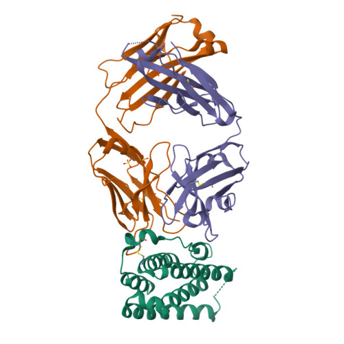 RCSB PDB - 4Z5R: Rontalizumab Fab bound to Interferon-a2