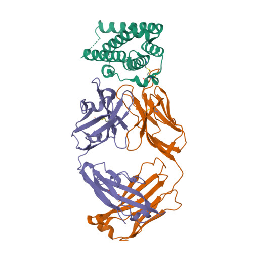 RCSB PDB - 4Z5R: Rontalizumab Fab bound to Interferon-a2