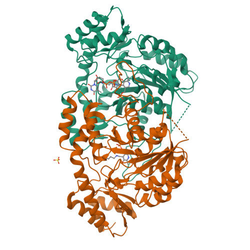 RCSB PDB - 4ZAS: Crystal structure of sugar aminotransferase