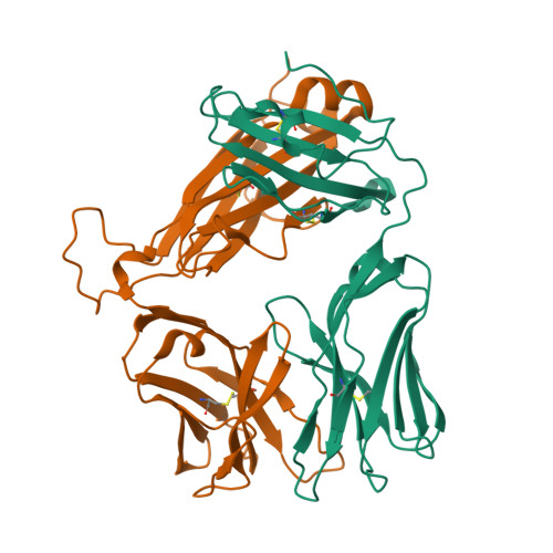 Rcsb Pdb 4zdh Crystal Structure Of Jka6 Tcr Rcsb Pdb 4zdh Crystal Structure Of Jka6 Tcr