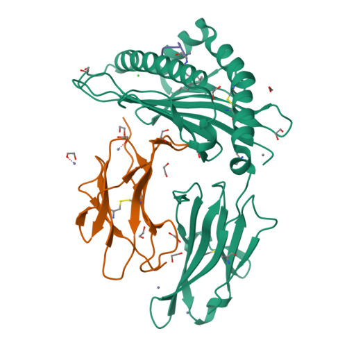 RCSB PDB - 4ZFZ: Crystal structure of rhesus macaque MHC class I ...