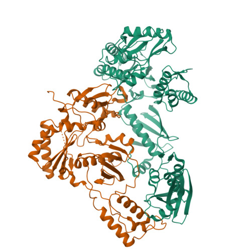 Deoxy.Hb'ページ RCSB PDB - 4ZHR: Structure of HIV-1 RT Q151M mutant