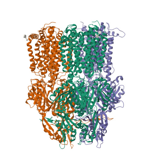 RCSB PDB - 4ZIT: Crystal structure of AcrB in P21 space group