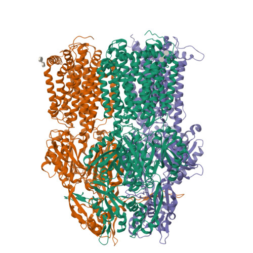 RCSB PDB - 4ZIW: Crystal structure of AcrB deletion mutant in P21 space ...