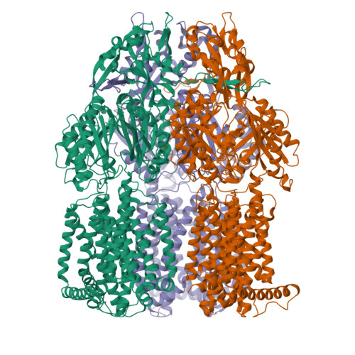 RCSB PDB - 4ZLJ: Crystal structure of transporter AcrB