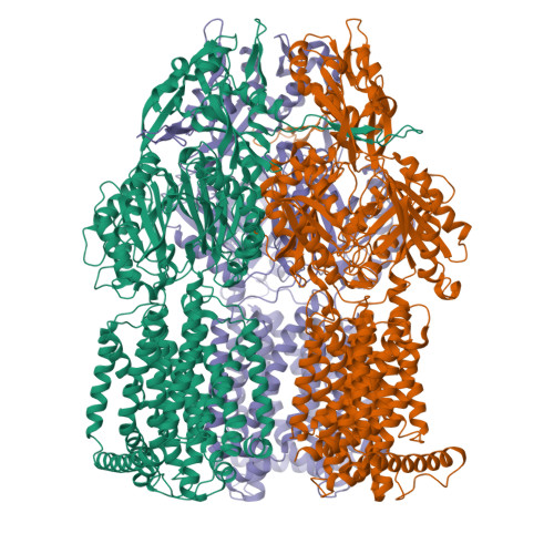 RCSB PDB - 4ZLL: Crystal structure of transporter AcrB triple mutant