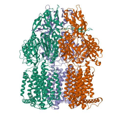 RCSB PDB - 4ZLN: Crystal structure of transporter AcrB deletion mutant