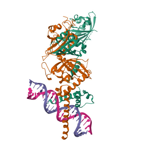 RCSB PDB - 4ZPK: Crystal Structure of the Heterodimeric HIF-2a:ARNT ...