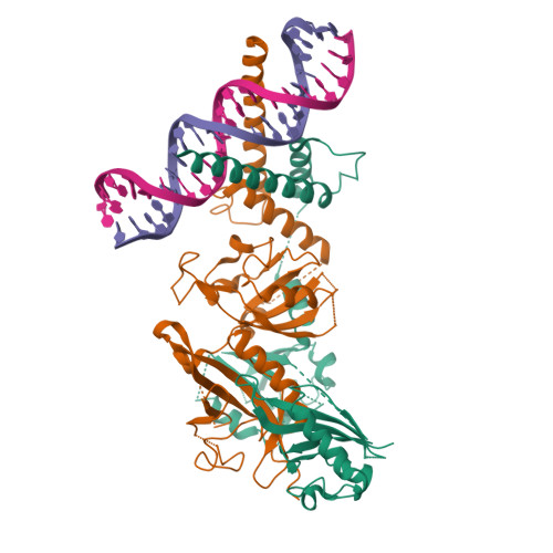 RCSB PDB - 4ZPR: Crystal Structure Of The Heterodimeric HIF-1a:ARNT ...