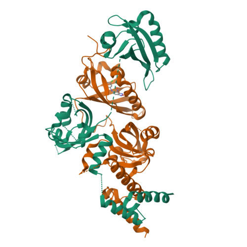 RCSB PDB - 4ZQD: Crystal Structure of the Heterodimeric HIF-2a:ARNT ...