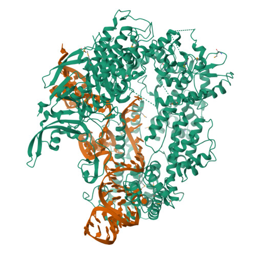 RCSB PDB - 4ZT0: Crystal structure of catalytically-active