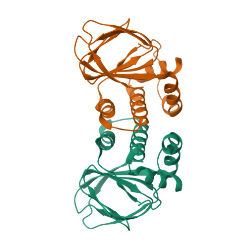HTH-type transcriptional regulator ExsA structure