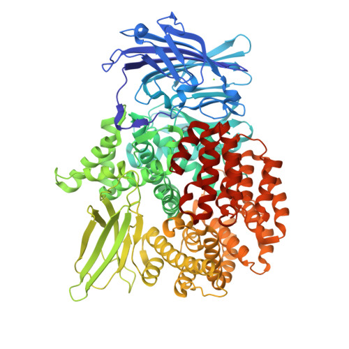 RCSB PDB - 4ZW5: X-ray crystal structure of PfA-M1 in complex with