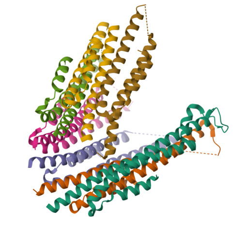 RCSB PDB 4ZWS Crystal Structure of the Bacteriophage T4