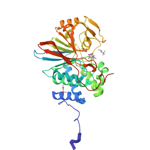 RCSB PDB - 4ZX2: Co-crystal structures of PP5 in complex