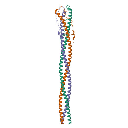 ＄ RCSB PDB - 4ZXQ: P22 Tail Needle Gp26 1-140 crystallized at