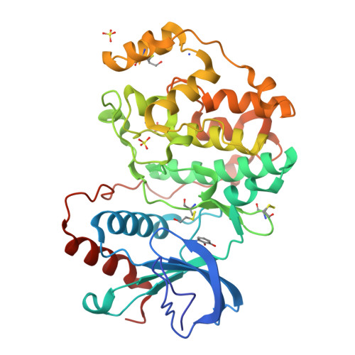 RCSB PDB - 4ZXT: Complex of ERK2 with catechol