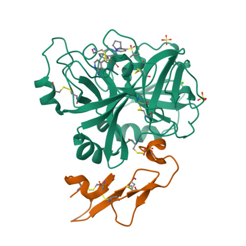RCSB PDB - 4ZXX: FACTOR VIIA IN COMPLEX WITH THE INHIBITOR N