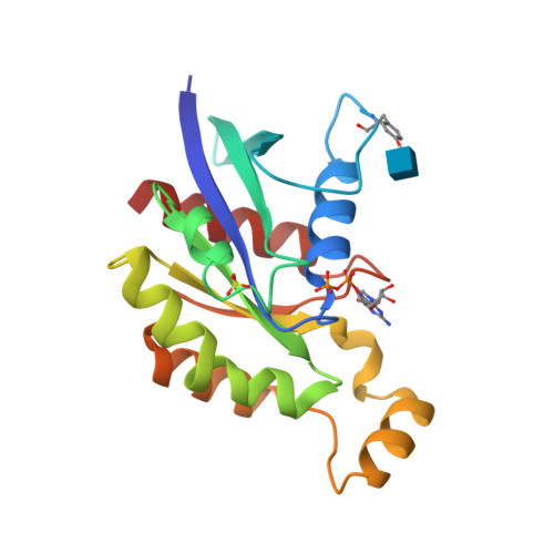 RCSB PDB - 5A0F: Crystal structure of Yersinia Afp18-modified RhoA