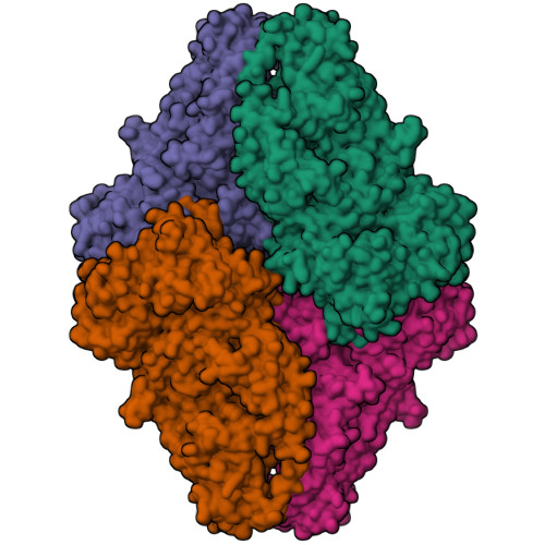 RCSB PDB - 5A1A: 2.2 A resolution cryo-EM structure of beta ...