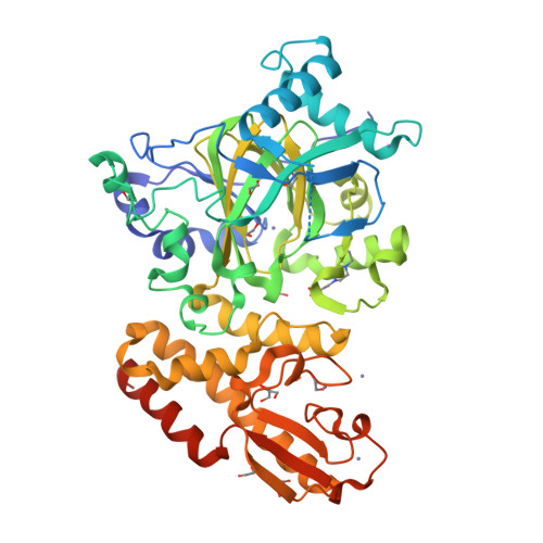 Rcsb Pdb A P Crystal Structure Of The Catalytic Domain Of Human