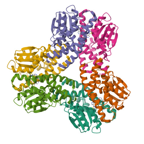 File:Müürlooga (Arabidopsis thaliana) lehekarv (trihhoom) 311 0804.JPG -  Wikipedia