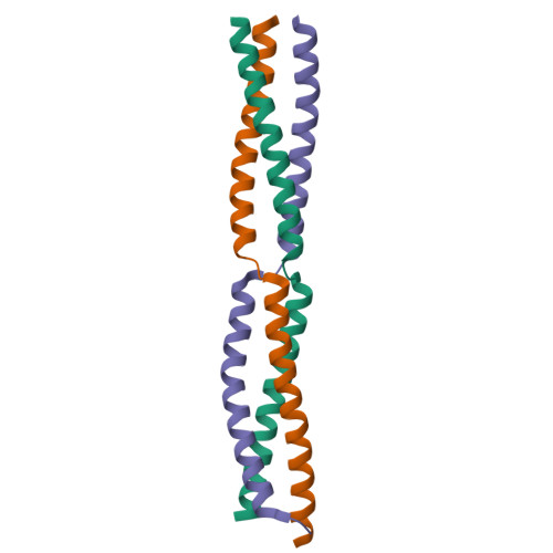 RCSB PDB - 5APT: Sequence IENKADKAD Inserted Between GCN4 Adaptors ...