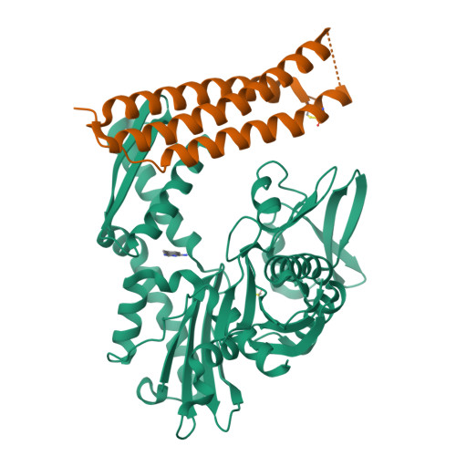 RCSB PDB - 5AQQ: Fragment-based screening of HSP70 sheds light on