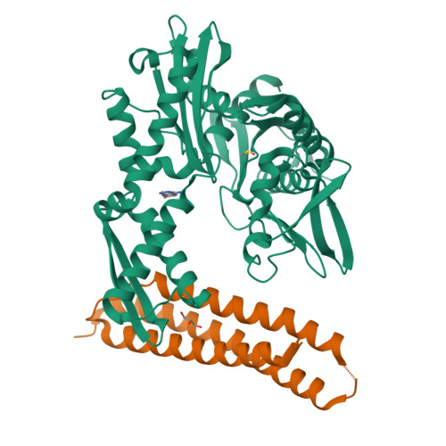 RCSB PDB - 5AQQ: Fragment-based screening of HSP70 sheds light on