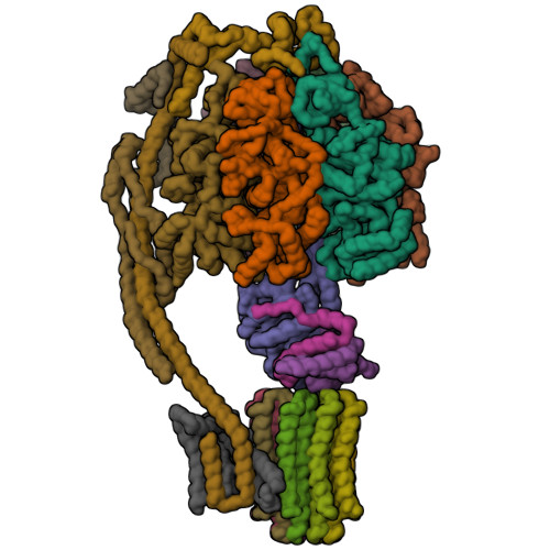 Rcsb Pdb 5ara Bovine Mitochondrial Atp Synthase State 1a