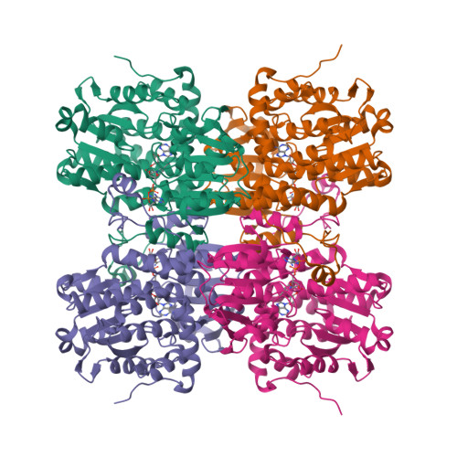 RCSB PDB - 5AXA: Crystal structure of mouse SAHH complexed with adenosine