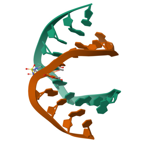 RCSB PDB - 5AXE: Crystal Structure Analysis of DNA Duplexes containing ...