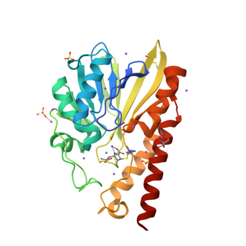 RCSB PDB - 5AXO: Crystal Structure of Metallo-beta-Lactamase SMB-1 